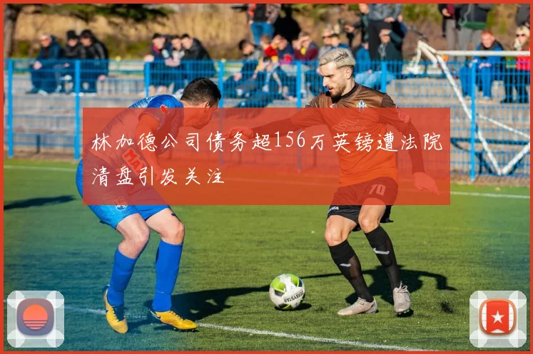 林加德公司债务超156万英镑遭法院清盘引发关注